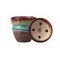 KOLOS Rikule Glaze