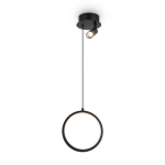 Подвесной светодиодный светильник Freya Airy FR6082PL-L10B
