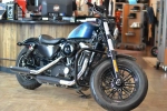 Harley-Davidson Sportster Forty-Eight 115 Anniversary (XL1200XANX)