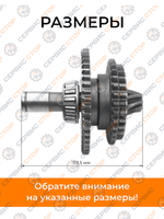 FM-1617-16 (2)