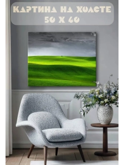 Картина на стену 40 X 50 Поле
