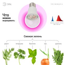 Фитолампа для растений светодиодная ЭРА FITO-12W-RB-E27-K красно-синего спектра 12 Вт Е27 | Фитолампы Е27