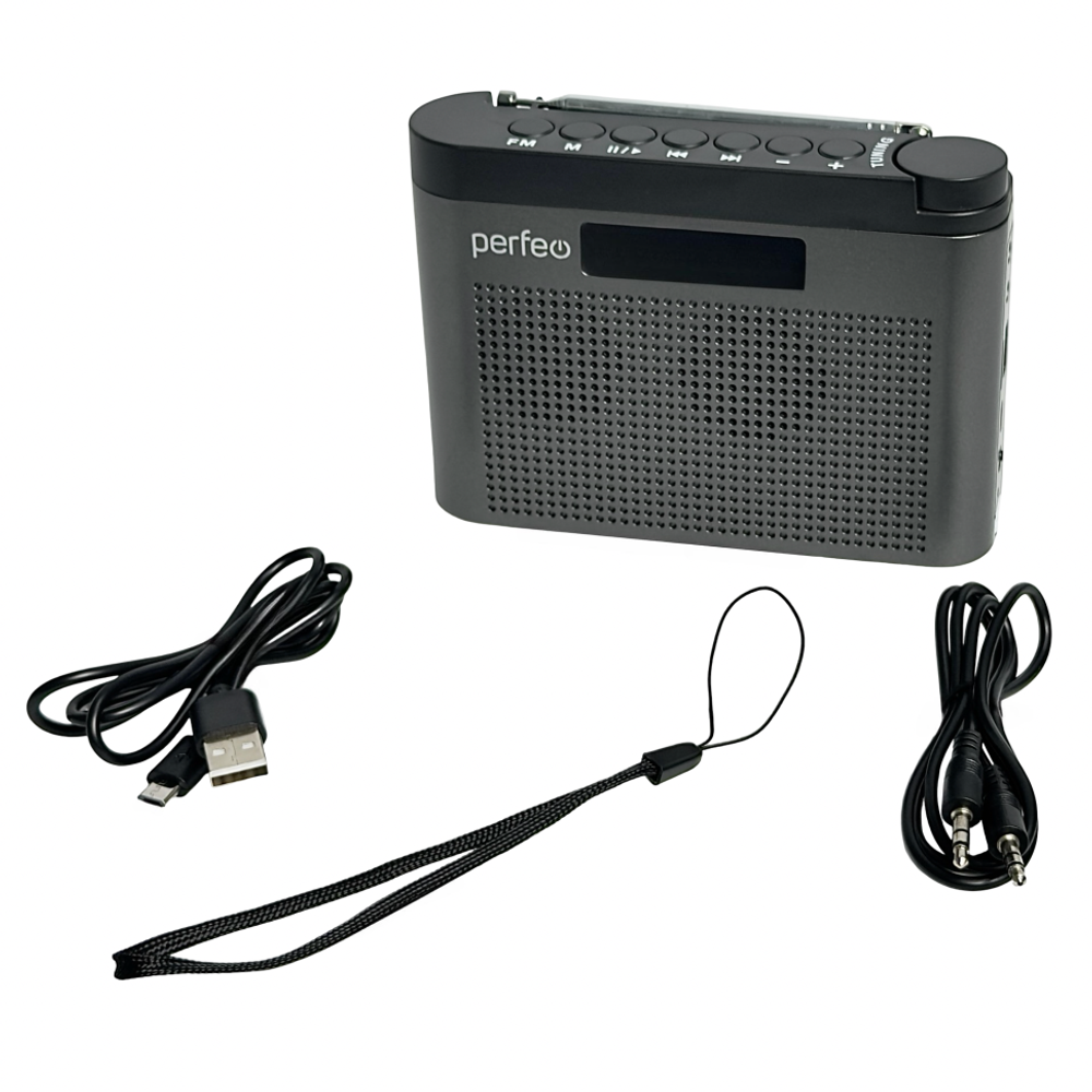 Портативный радиоприемник Perfeo Тайга 6Вт/FM/AUX/USB/MicroSD PF_D0569 серый