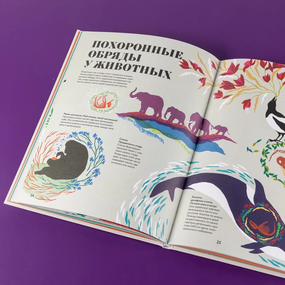 Чудесная книга смерти
