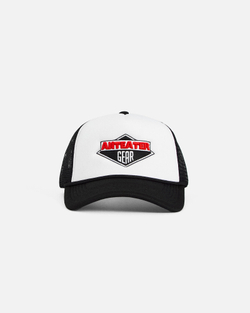 Кепка Anteater Trucker Combo Черный