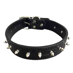 Pet Fashion Ошейник"Шипы"  3Х61см, черный