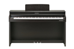 Kurzweil Andante CUP320