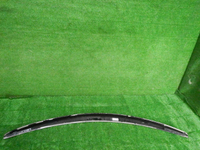 DSCN2997.JPG