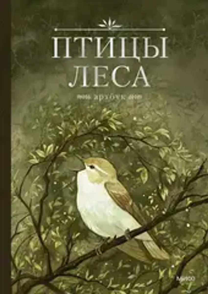 Птицы леса. Артбук