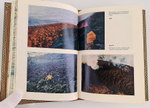 "Цепь плутона". Е.К. Мархинин - подарочное издание