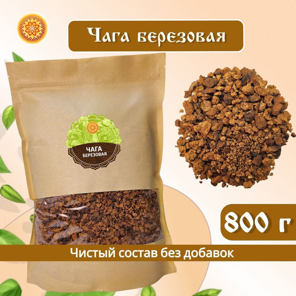 Чага березовая