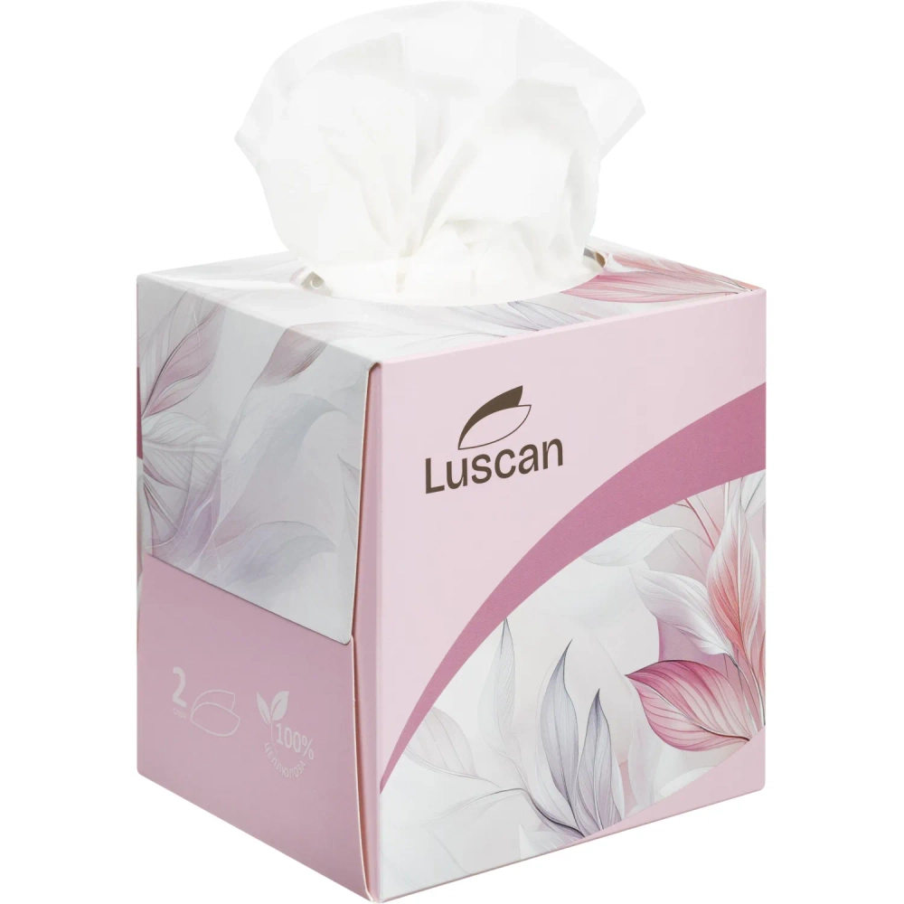 Салфетки косметические Luscan 2-слойные (90 штук в упаковке)
