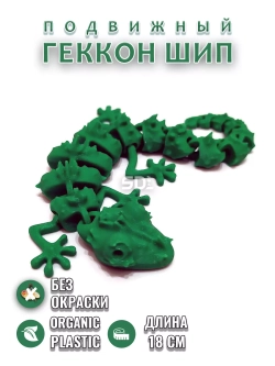 Геккон Шип