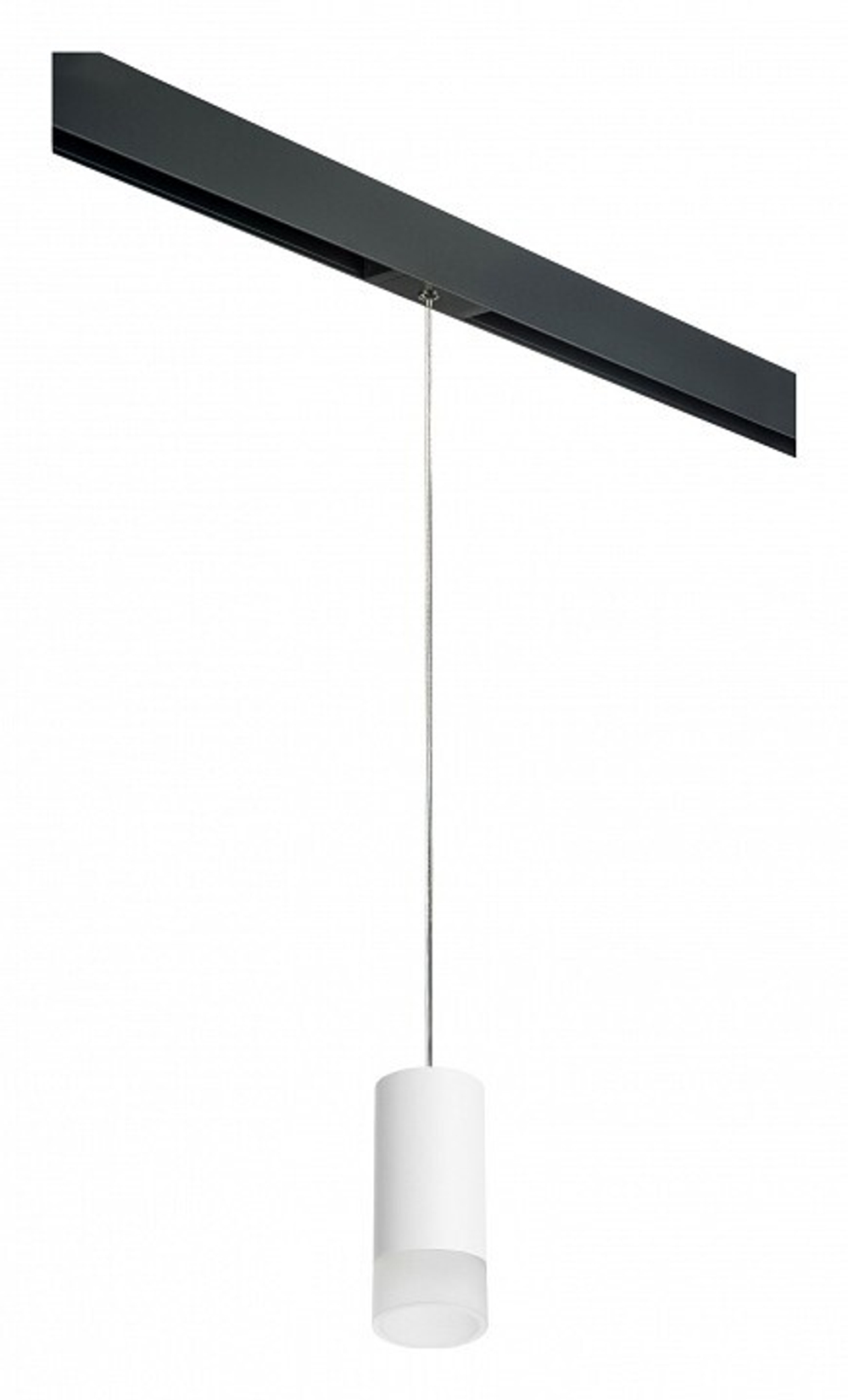 Подвесной светильник Lightstar Rullo PRORP43631