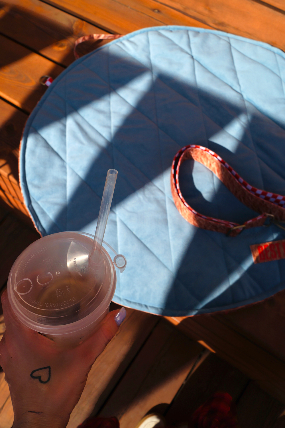 Best Buddy Сумка-лежак 2в1 Take Out Craft
