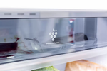 Sharp SJ-XE55PMBE