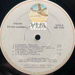 Peter Hammill ‎– Vision (США 1978г.)