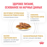 Royal Canin Urinary S/O Moderate Calorie Уринари С/О Модерейт Кэлори Корм влажный диета для взрослых кошек МКБ цистит профилактика лишнего веса 85г