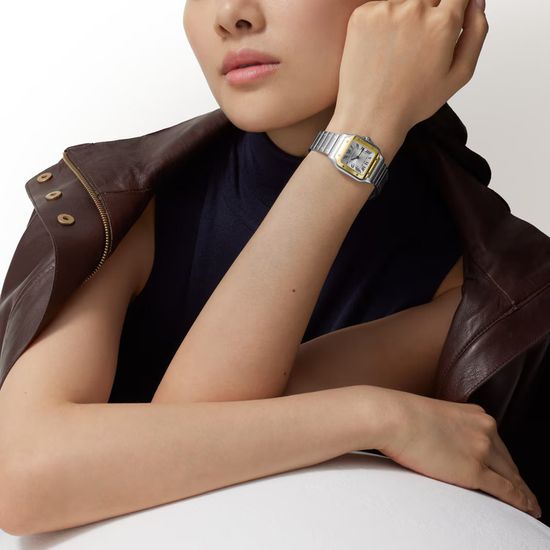 Часы Cartier Santos de Cartier в стальном корпусе с желтым золотом