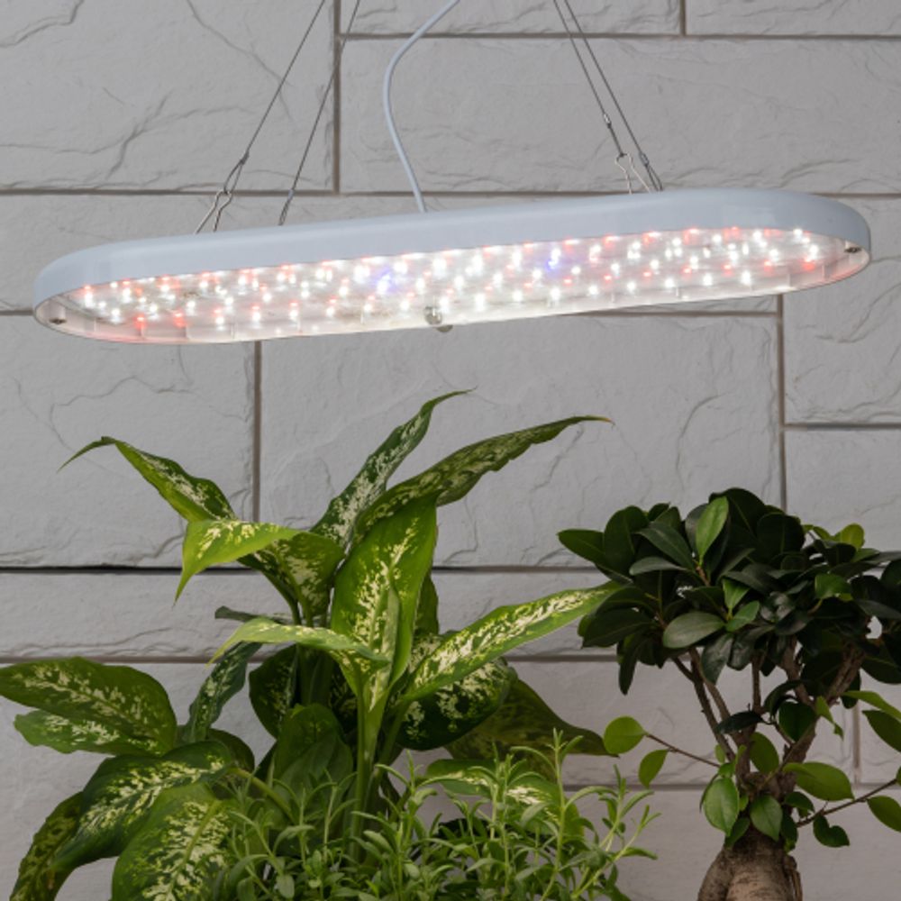 Светильник для растений ЭРА FITO-25W-QLED-FLY подвесной полного спектра 25 Вт | Интерьерные фито светильники