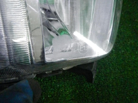 DSCN7973.JPG