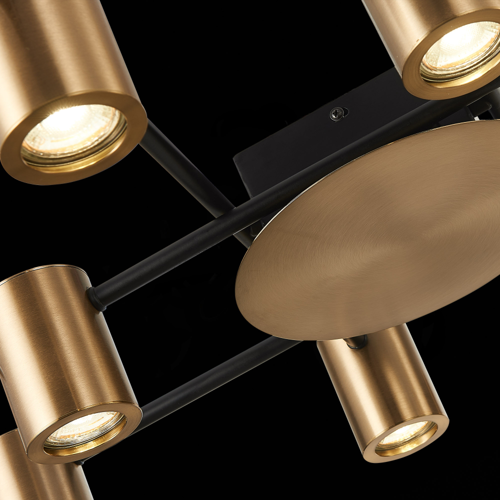 Светильник потолочный ST Luce Veroli SL1207.402.10