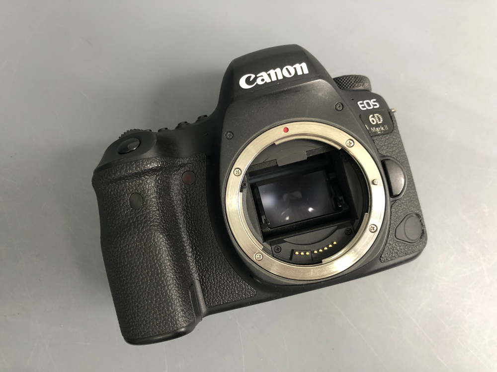 Canon EOS 6D Mark II (124.000 кадров)