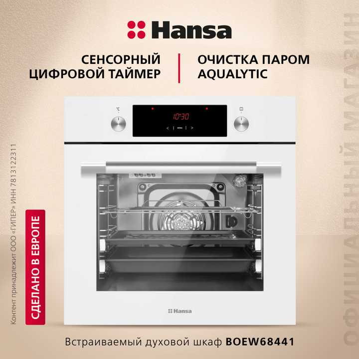 Духовой шкаф Hansa BOEW68441