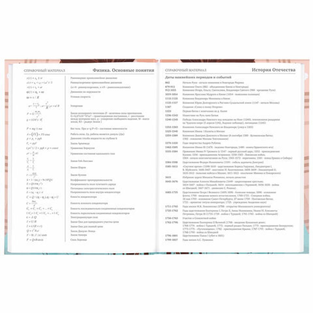 Дневник 5-11 класс 48 л., твердый, BRAUBERG, глянцевая ламинация, с подсказом, "Summer girl", 106882