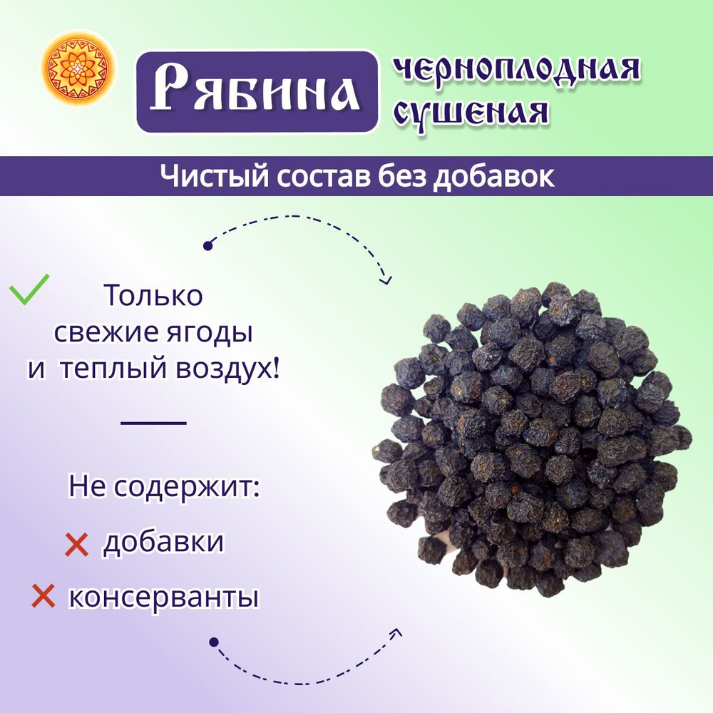 Рябина черноплодная