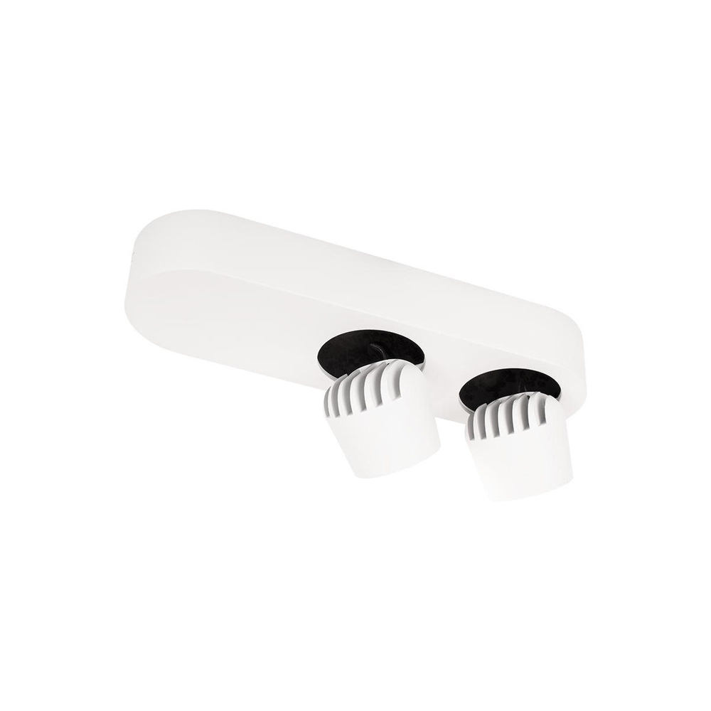 Потолочный светодиодный светильник Loft It Quiet 10320/2 White