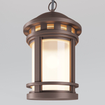 Уличный подвесной светильник Outdoor O031PL-01BR
