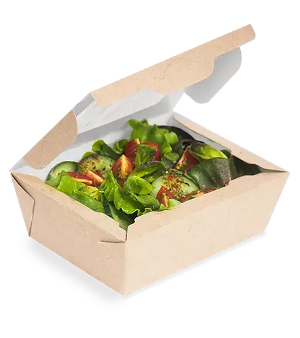 OSQ SALAD 600