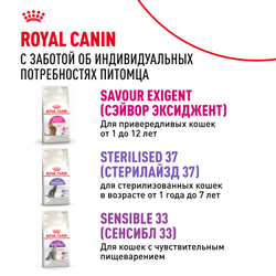 Royal Canin Protein Exigent Корм сухой сбалансированный для привередливых взрослых кошек от 1 года - 0,4 кг