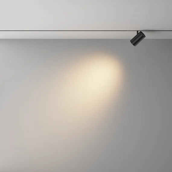 Трековый светильник Focus Led TR243-12W3K-B Maytoni