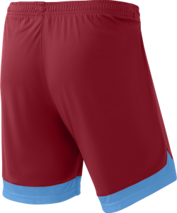 Шорты игровые DIVISION PerFormDRY Union Shorts, гранатовый/голубой/белый