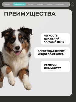 Корм сухой для собак средних и крупных пород, забота о суставах, с кроликом, 12 кг, QUATTRO