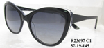 R23697