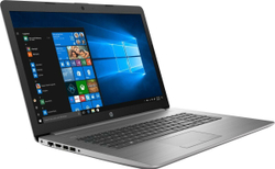 Ноутбук 17,3" HP 470 G7 (1F3K5EA)