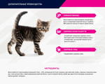 Eukanuba Kitten Healthy Start сбалансированный сухой корм для котят 5 кг