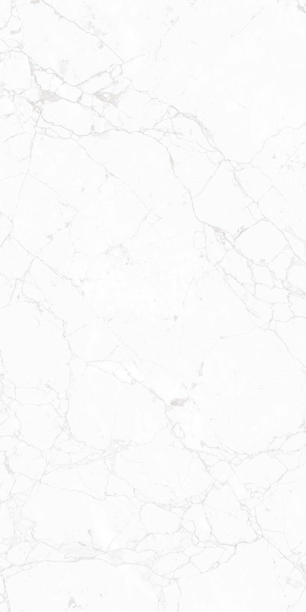 NT Ceramic Marmo Impero Carving 60x120