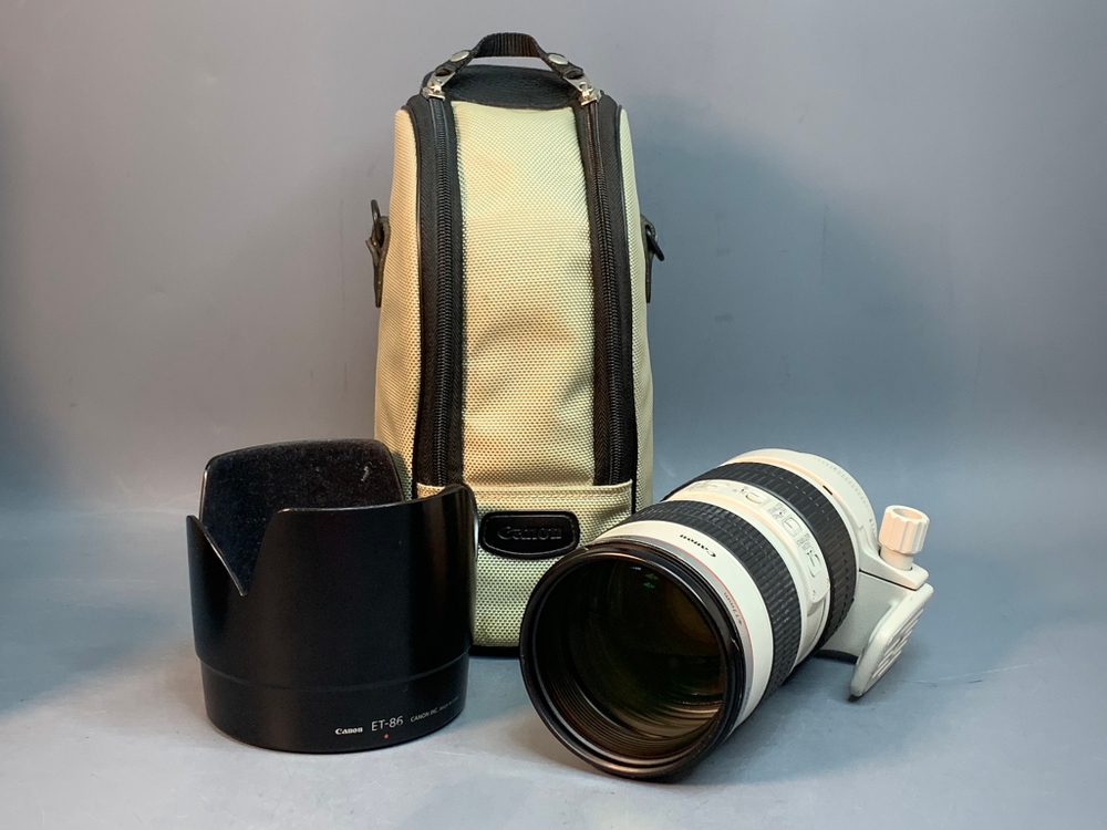 Canon EF 70-200mm f/2.8L IS USM