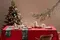 Набор из четырех тарелок nordic winter из коллекции new year essential, D23 см