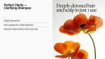 Шампунь Keune Perfect Clarity 300 мл