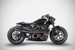 Zard Карбоновое крыло переднее Harley Davidson Sportster S 1250 (2021+) ZHD006OP8