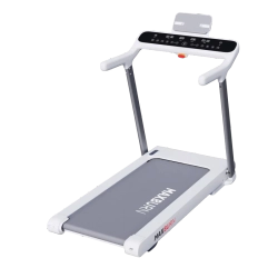 Беговая дорожка Ergonova MaxBurn Air