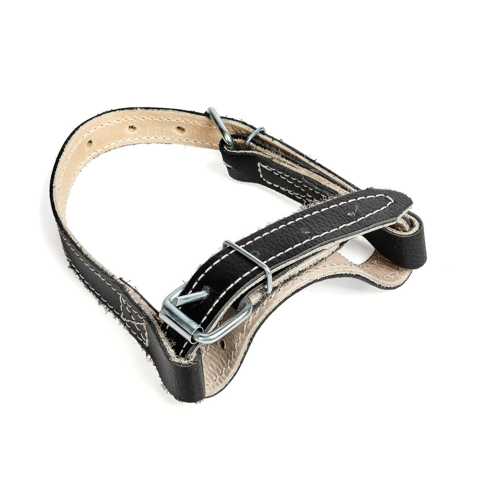 strap_use_2_-1137961689.jpg