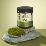 Terra Origin, Healthy Gut™, веганская формула, 246,6 г (8,7 унции)