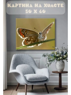 Картина на стену 40 X 50 Бабочка