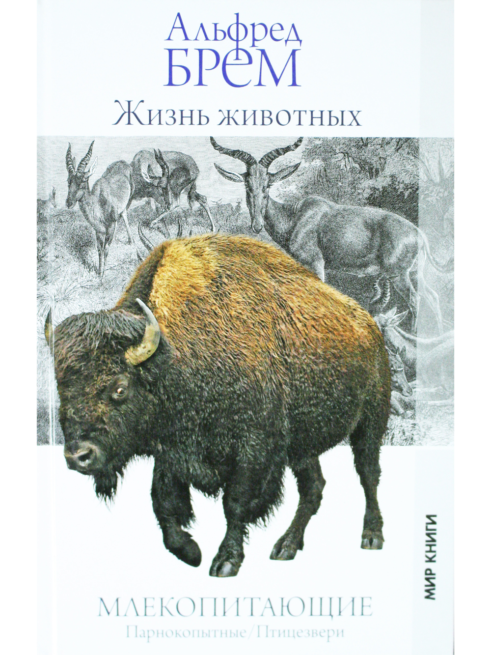 Жизнь животных. Млекопитающие
